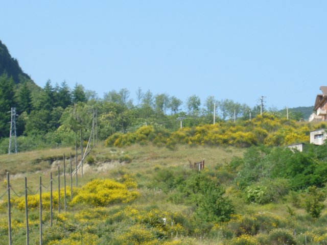 produzione miele castagno 2015 - loc .Pierno